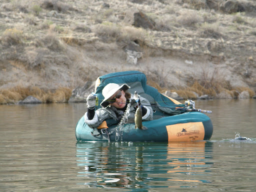 Cove Arm Campground