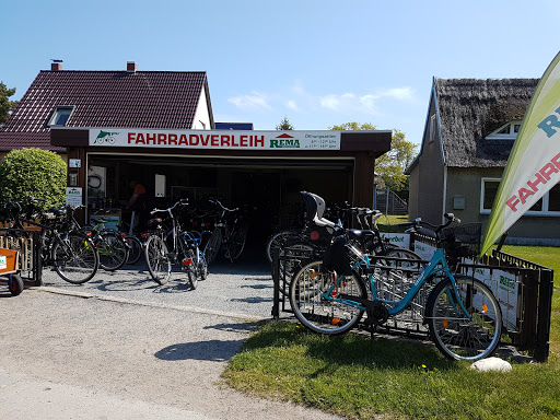 Malerbetrieb Zingst Rema Rosenberg - Thumbnail