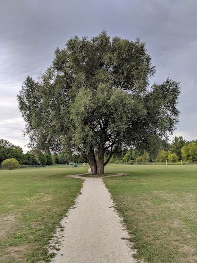 LeClair Park - Visual
