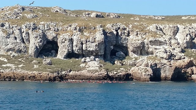 Îles Marieta