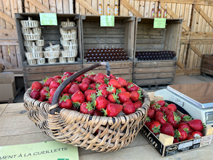 Photo n°5 de FERME DE PELLAUSY à Villemur-sur-Tarn (Verger)