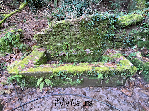 antica fontana della Romagna
