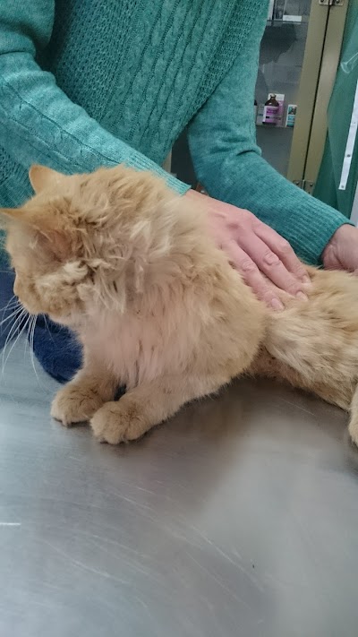 Photos of Benoni Vet Animal Hospital