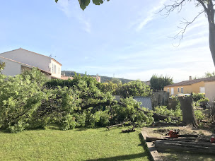 Photo n°9 de SOFOREST à Pélissanne (Service d'élagage)