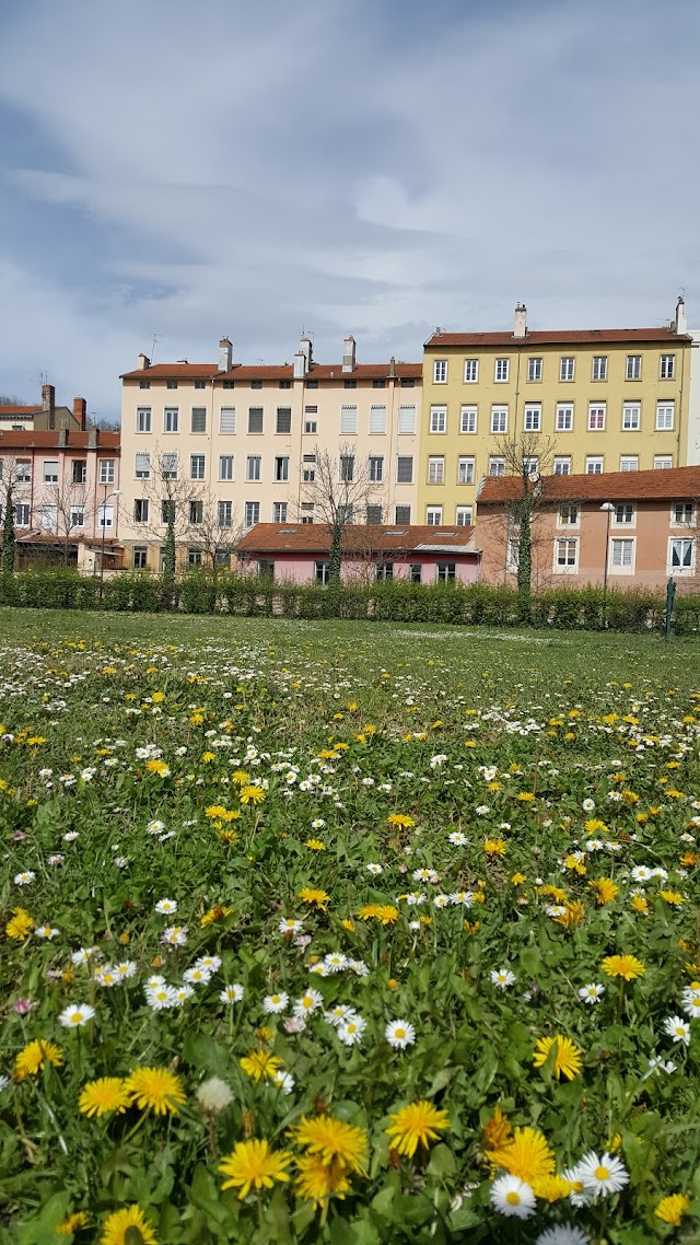 Roseraie De Saint-Clair