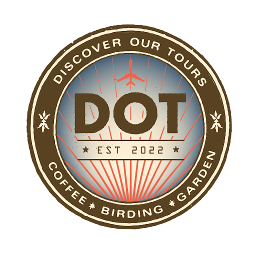 Discover Our Tours - Thumbnail