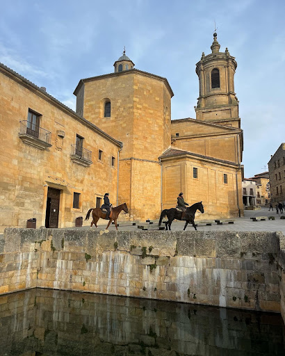 Caballos de Castilla - Ecuestur
