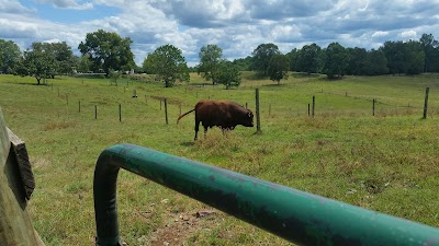 Lakota Ranch Farm Store