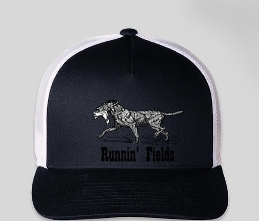 Runnin' Fields - Visual