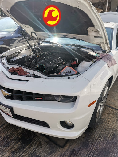 Auto-Servicio SPONGE - Visual
