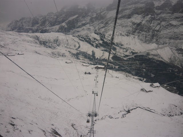 First (Grindelwald)