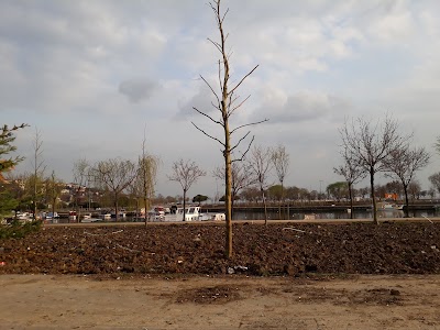 Photos of Soil Football Field