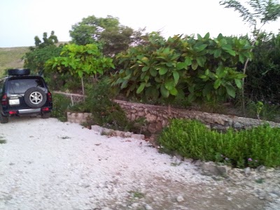 Photos of Osias Enterprises