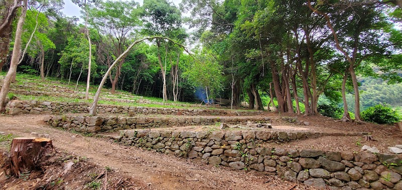 橘香園キャンプ場