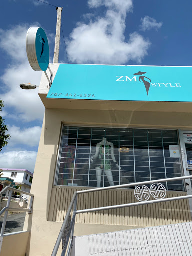 Zm Style Logo