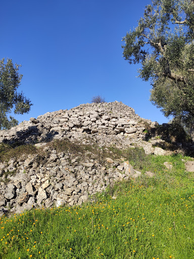 Specchia Castelluzzo - Visual