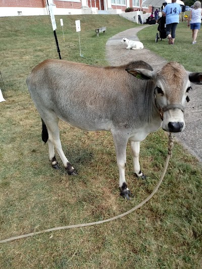 Heavenly Heart Farm & Mini Petting Zoo