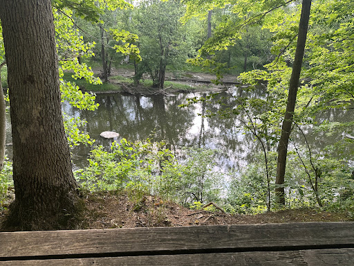 Evergreen Disc Golf Course - Thumbnail