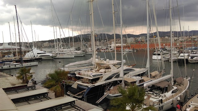 Marina Moll Vell