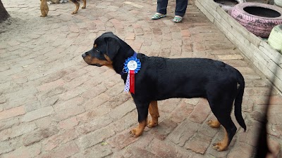 Photos of Avalon Veterinary Hospital
