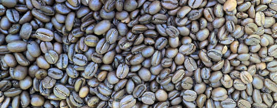 store coffee beans