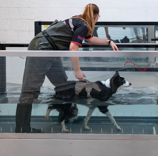 Woozelbears Hydrotherapy and Grooming