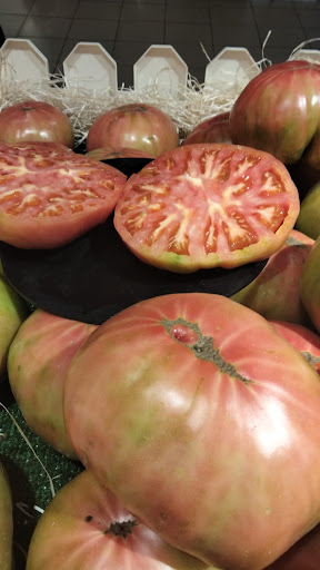 308 Tomates - Visual