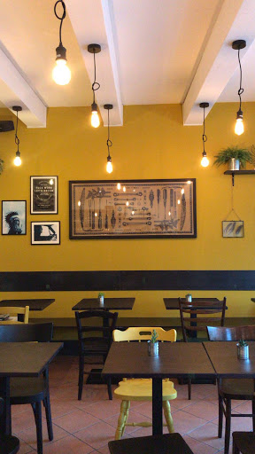 Apache Bardolino - Visual