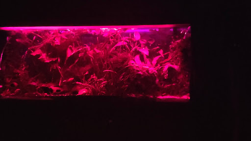 Weller LED - Thumbnail