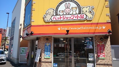Koizumi Pet Shop Obihiro Shi Hokkaido 81 11 726 33