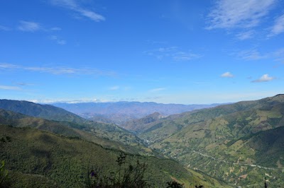 Photos of Podocarpus National Park