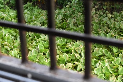 Photos of Fida Agro Ltd.