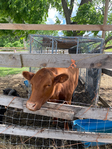 Willowdale Farm