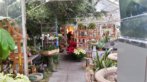 Scarsella's Florist - Thumbnail