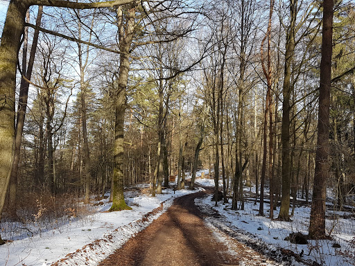 Fünf Linden - Visual
