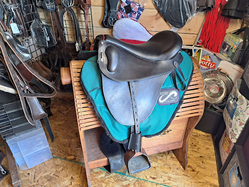 Evolutionary Saddles LLC - Thumbnail
