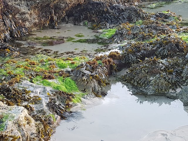 Fistral Beach