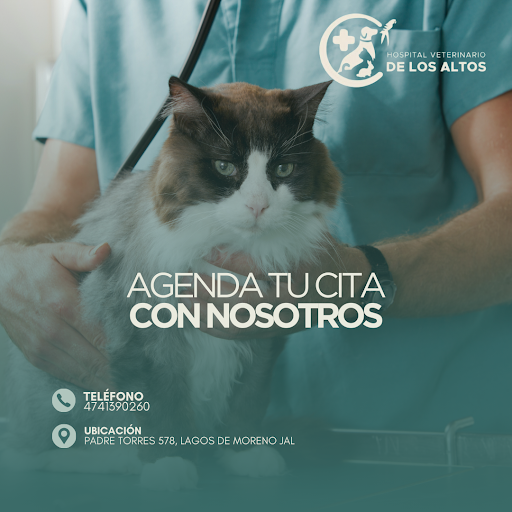 Hospital Veterinario De Los Altos