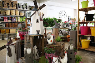 Photo n°4 de Céline Horticulture à Aubignan (Pépinière)