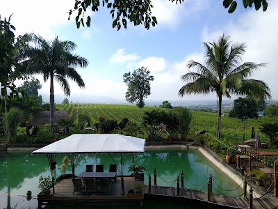 Photos of Monte diVino Lodge at Aythaya vineyard Myanmar