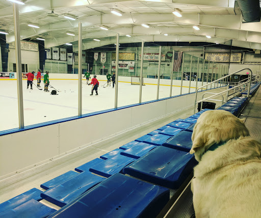 Niagara Falls Ice Pavilion
