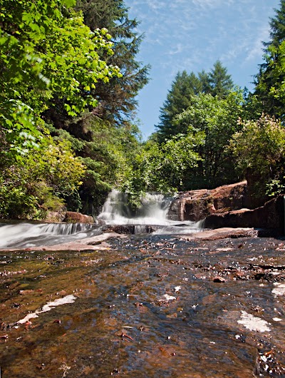 Alsea Falls Recreational Site