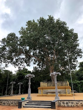 Mahamevnawa Dhammagiri Forest Monastery - Kahatagasdigiliya, Author: Canadian