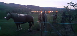 Photo n°8 de La ferme du cheval noir à Machézal (Dresseur d'animaux de compagnie)