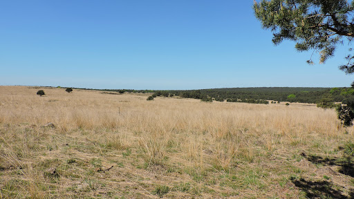 Deurensche Berg (Rheder- en Worth-Rhederheide)