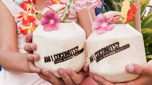 AM I COCONUTS? Gallery - United States