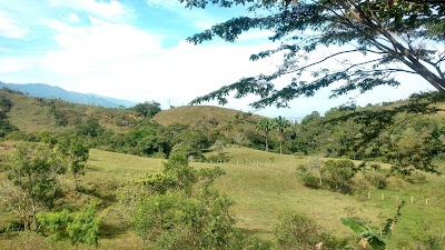 Photos of CAMPING TACUARA