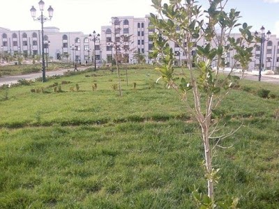 Photos of Centre universitaire Relizane