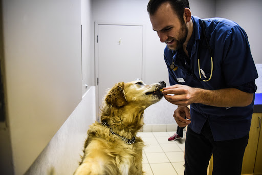 VCA Canada Crowfoot Animal Hospital Gallery - Canada