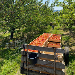 Photo n°1 de Ferme de Lafontasse à Saint-Sylvestre-sur-Lot (Magasin de produits de la ferme)